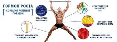 купить гормоны роста в Киеве